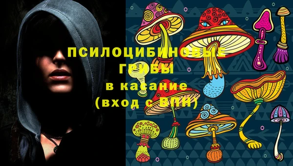 а пвп мука Армянск