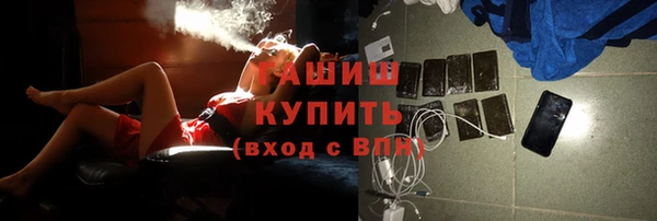 стаф Арсеньев