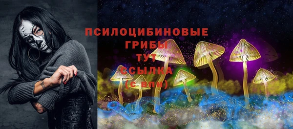 стаф Арсеньев
