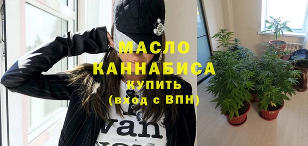 стаф Арсеньев
