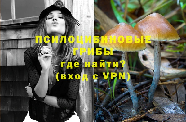 тгк Гусь-Хрустальный