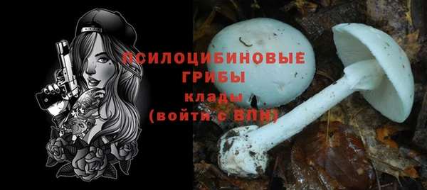 не бодяженный Аркадак