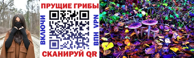 Псилоцибиновые грибы MAGIC MUSHROOMS  Отрадная 